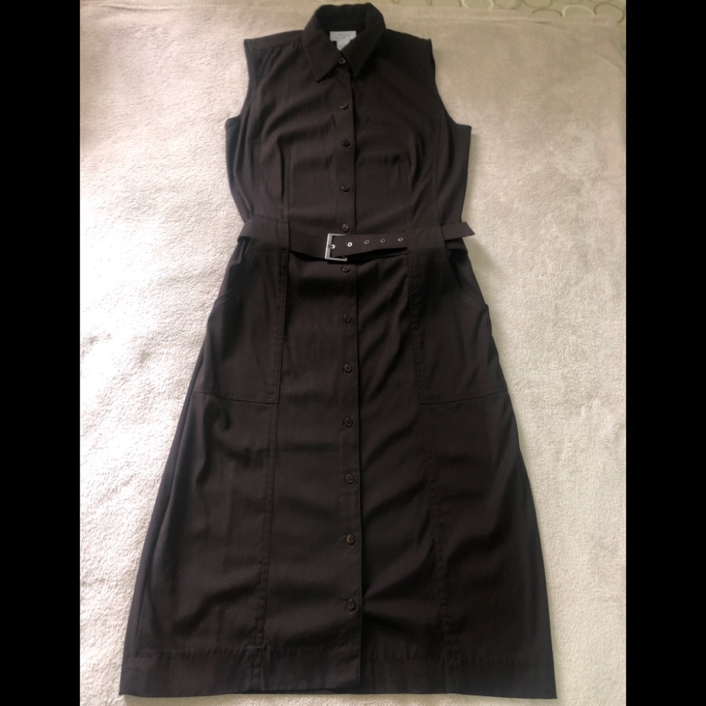 Ann Taylor Loft Brown Button Dress